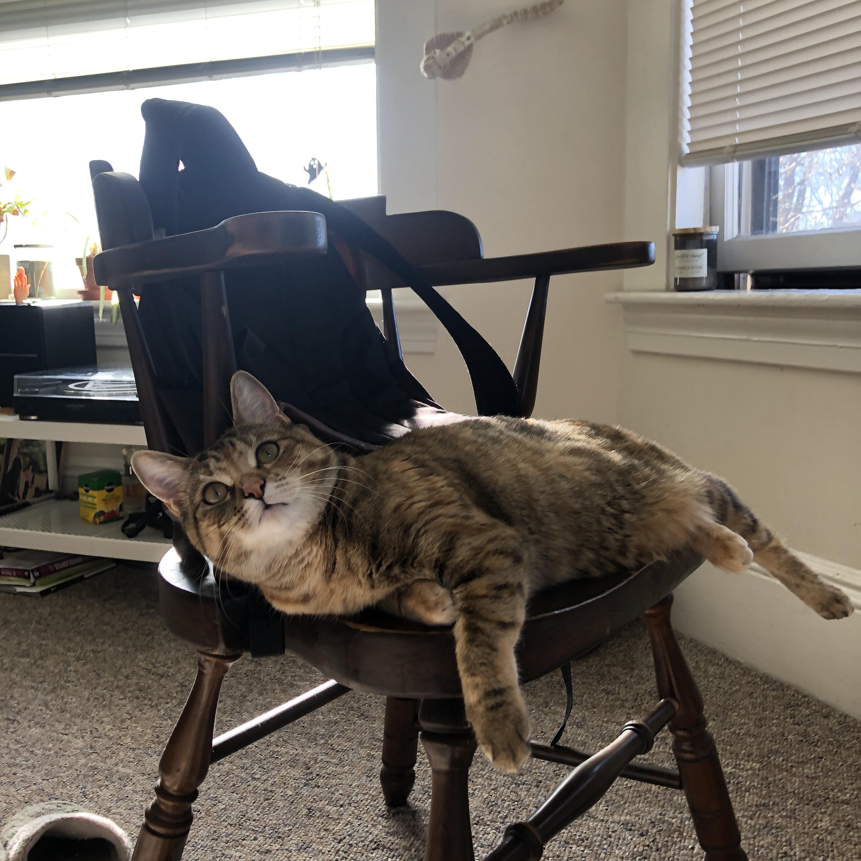 女性选手崛起:为电竞注入更多多样性与包容性,lol女电竞选手