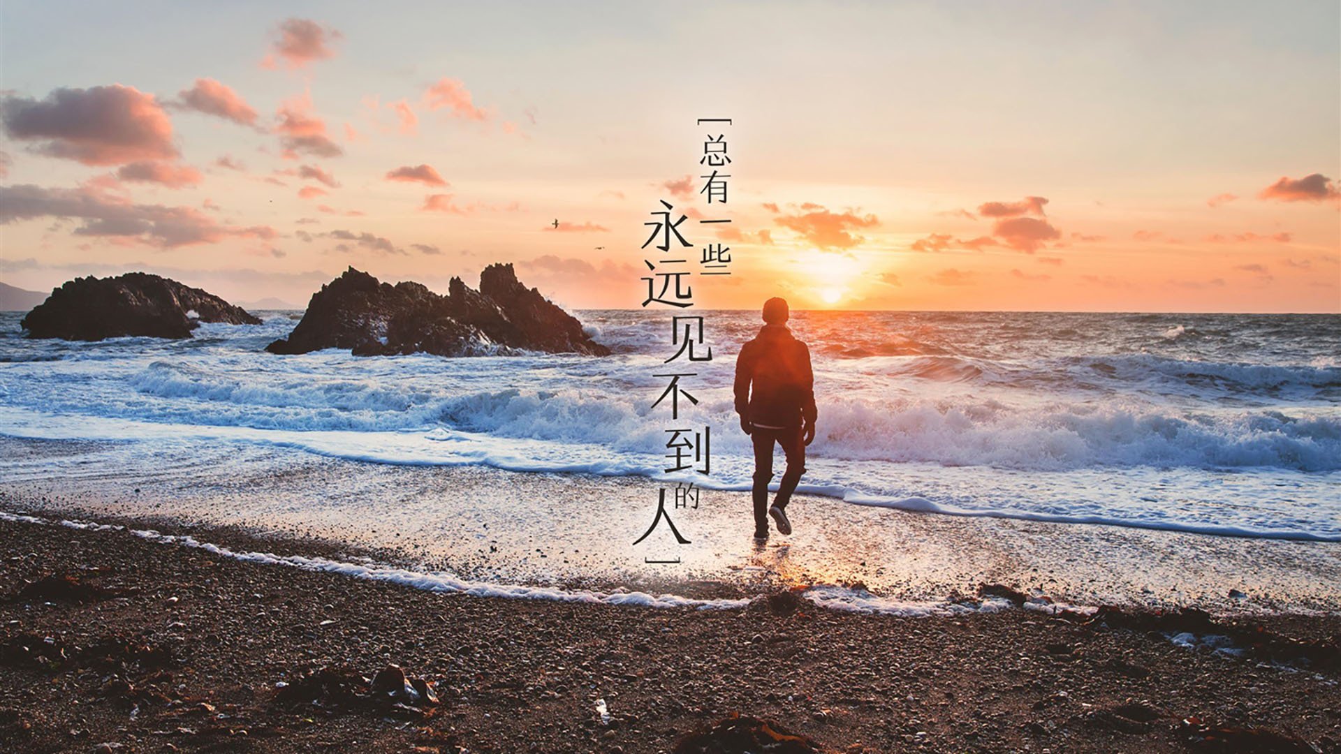 数字化青训平台实现重脑力打造，提升青少年训练科学水平，全国青少年数字化教育