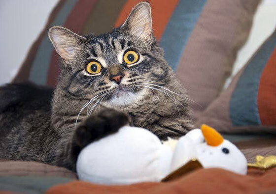 RB莱比锡与勒沃库森激战平局,莱比锡火车头对勒沃库森