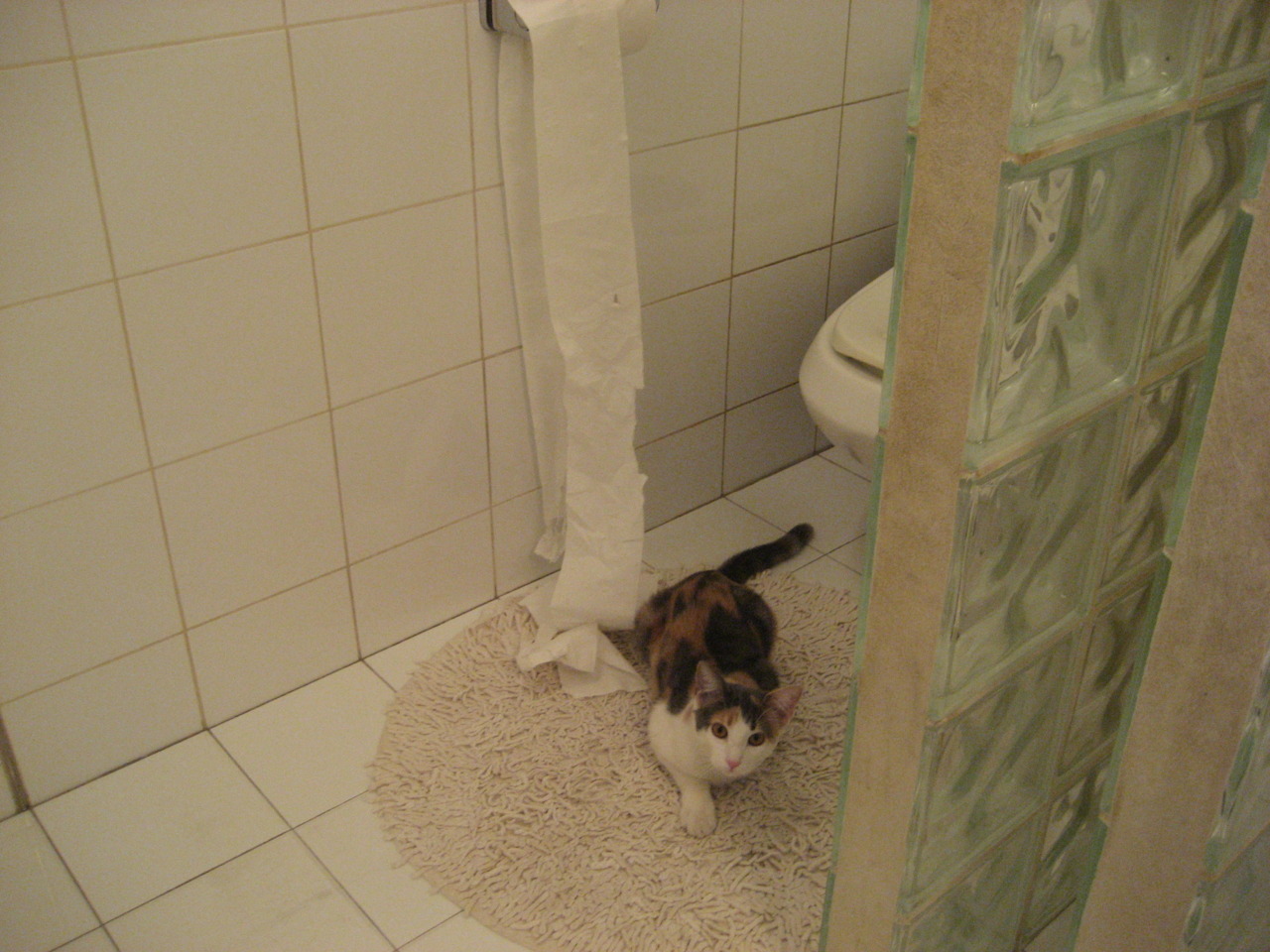 关键电竞选手转会风波升级,电竞 关键词