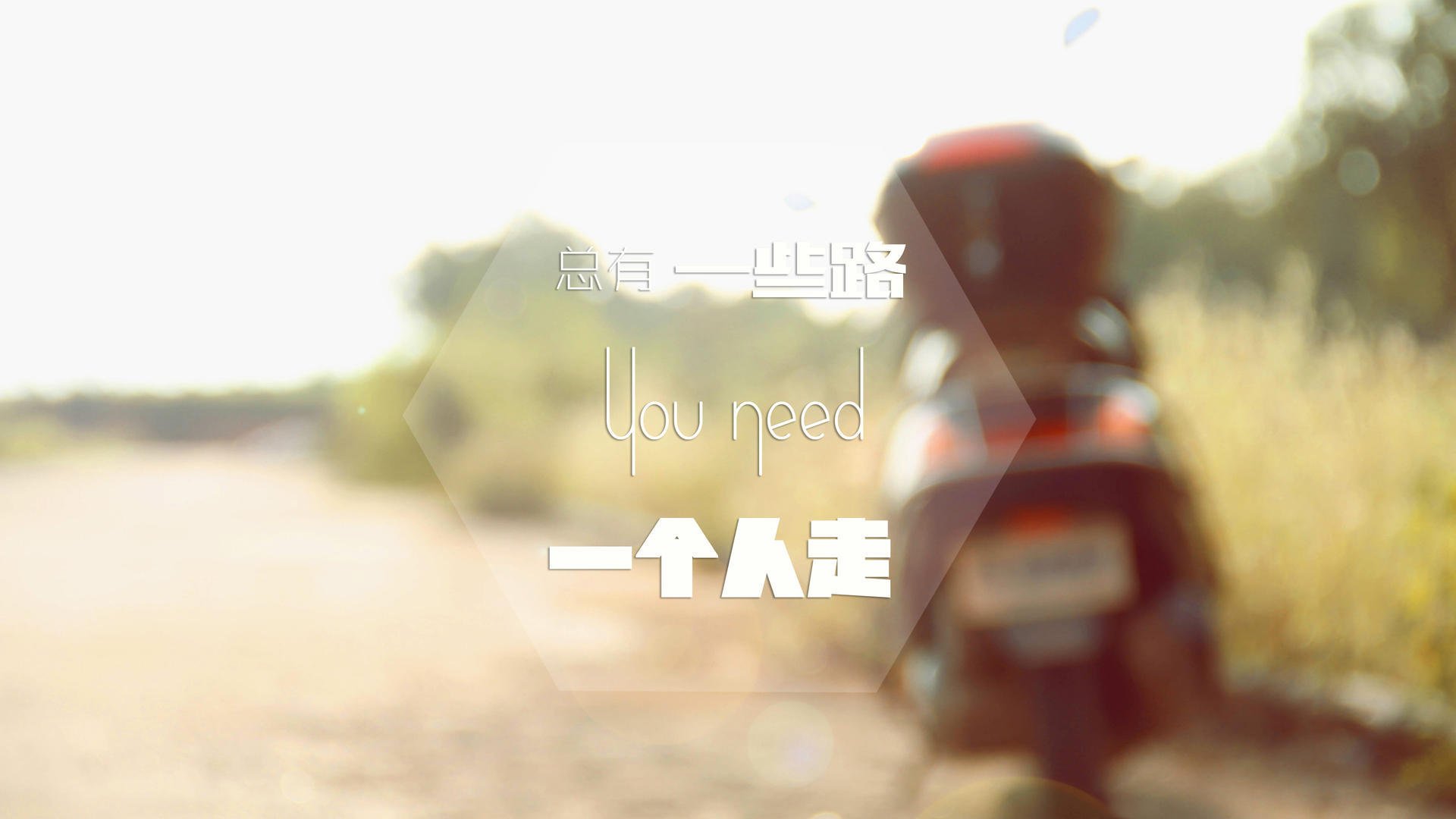 南安普顿青训体系完善,圣徒未来可期,南安普顿 青训