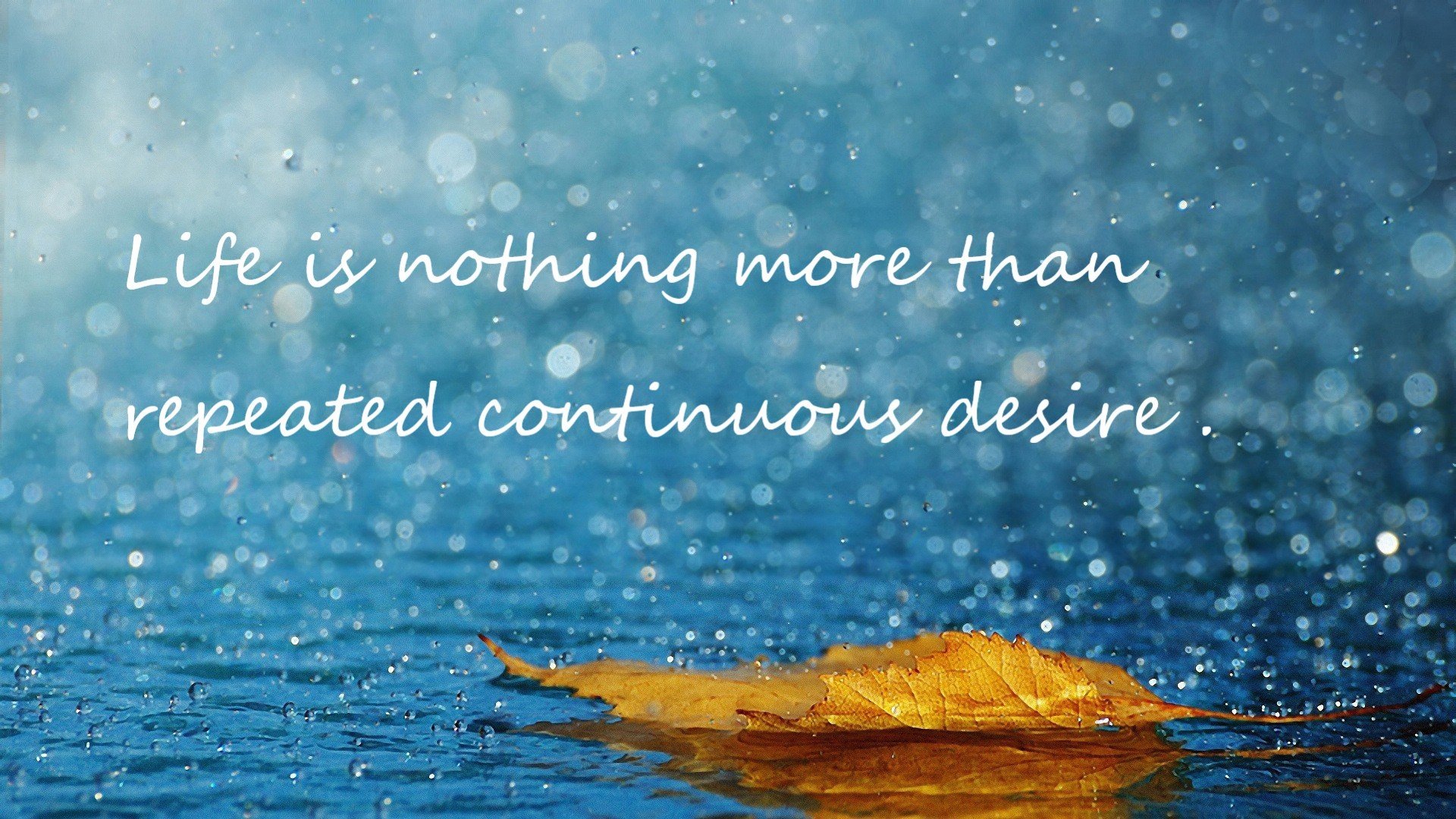 体育教学个性化评价体系设计及应用研究,体育教案个性化设计