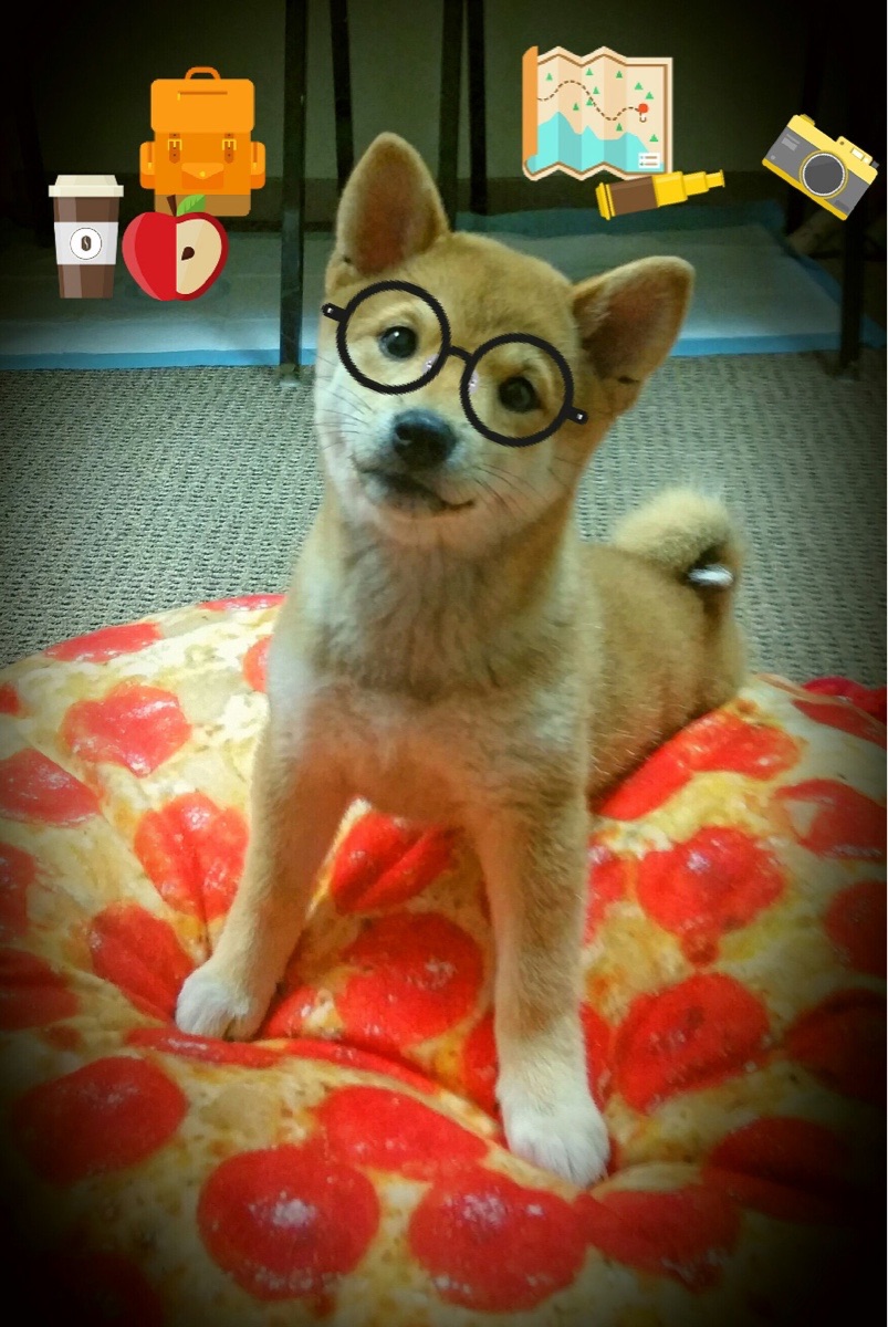 拓展边界:足球在“一带一路”国家的推广策略