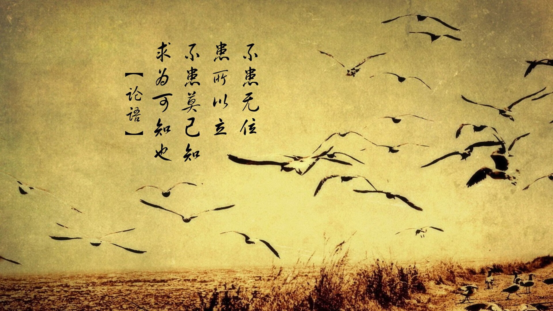 英超高频对抗场景下身体对抗动作的生物力学分析,英超身体对抗最好的球员