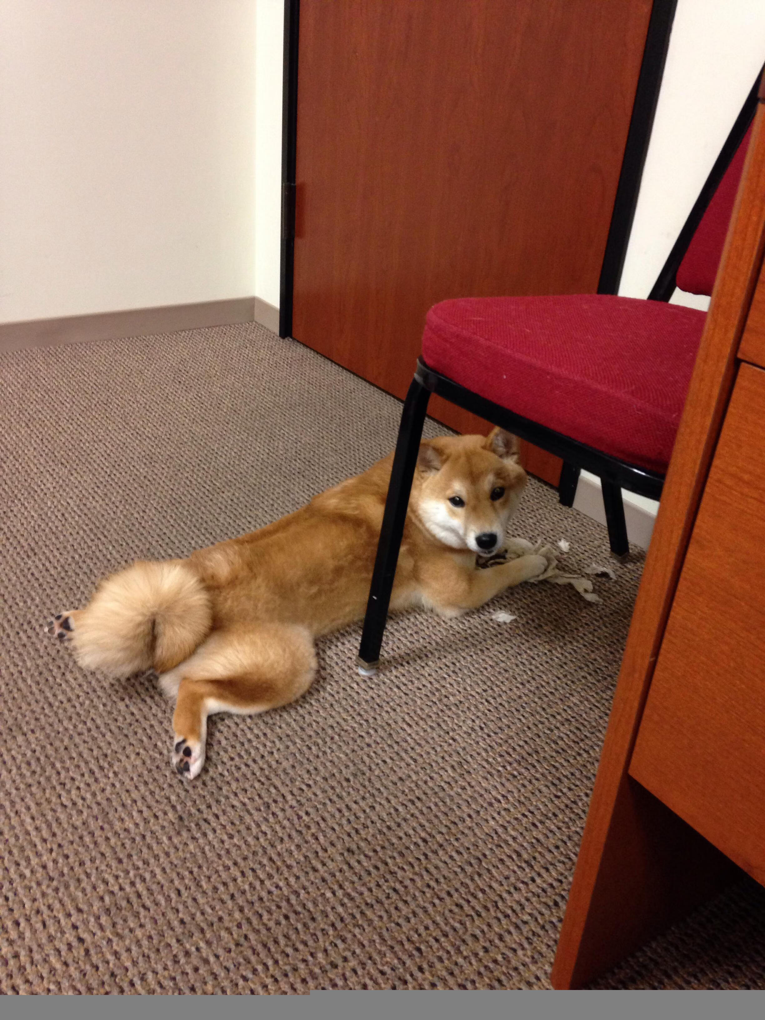 PSG球迷对未来充满期待与担忧,psg队员名单