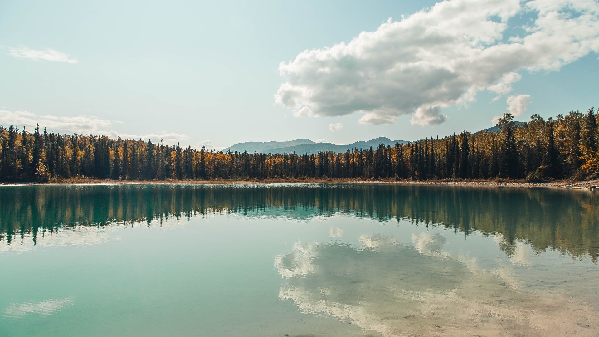 开云体育官网-中国男篮比赛经验不断积累，中国男篮比赛成绩