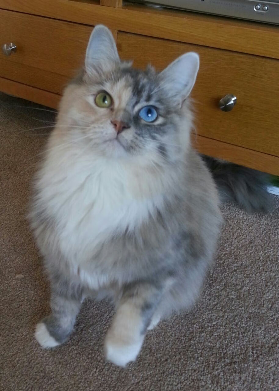 后防线传球稳定性是否优于高压出球策略,足球后防线是什么意思