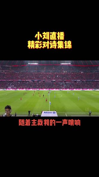 德甲裁判的挑战：如何应对VAR的争议的简单介绍